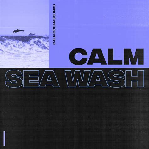 Ocean Swells and Swells música e letra de Calm Ocean Sounds Spotify