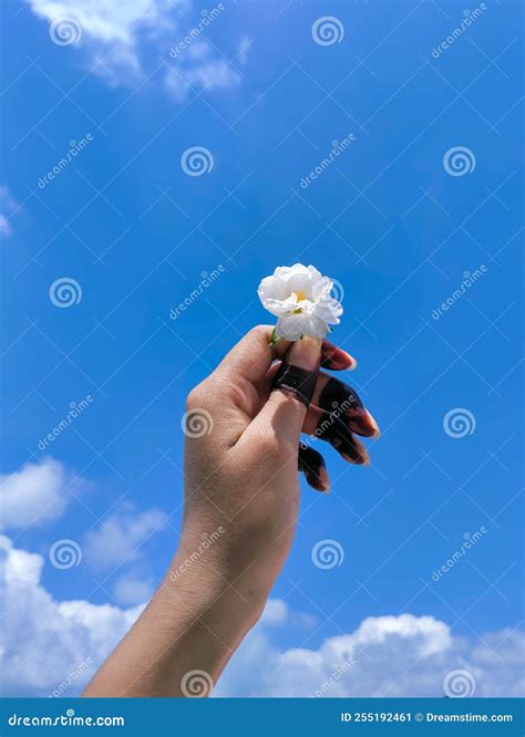 A Girl Holding A Flower In Her Hand Towards Sky Stock Image Image Of