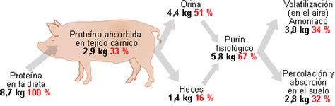 Opciones para el tratamiento de purines Artículos 3tres3 LATAM la