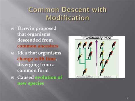 Ppt Darwins Theory Of Evolution Powerpoint Presentation Free