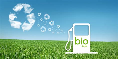 Biodiesel Fuel Is It The Right Choice Island Diesel