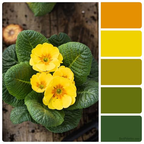 potted plant bestpalettescom