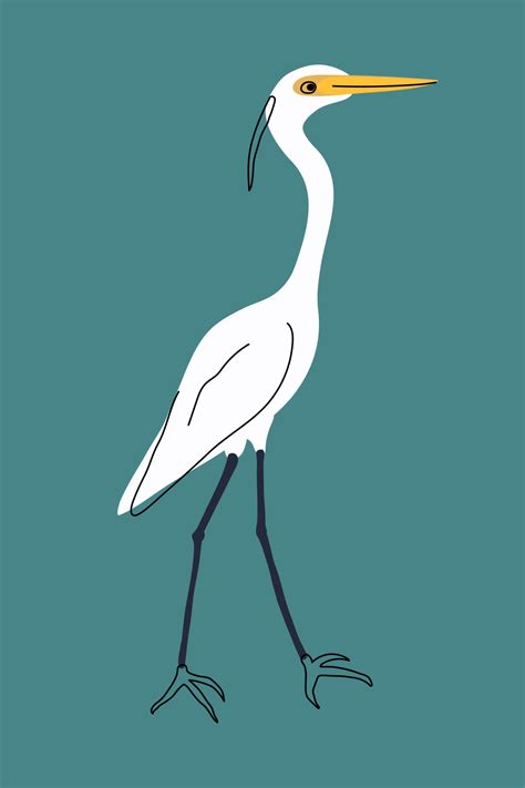 White heron vector illustration. Great egret, ardea alba, common egret