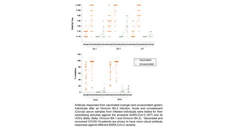 Hkumed Cu Medicine Joint Study Shows That Vaccinated Individuals