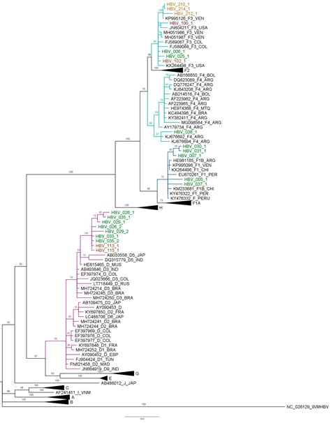 Microorganisms Free Full Text Epidemiology And Genetic Diversity Of