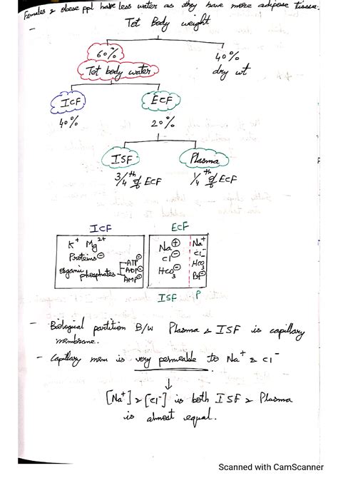 Solution Body Fluid Compartments Studypool