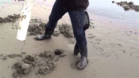 Razor Clam Digging Grayland Wa Youtube