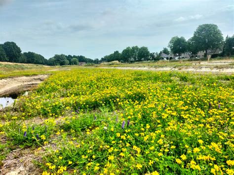 Nieuw Natuurgebied Veenendaal Brengt Biodiversiteit En Cultuurhistorie