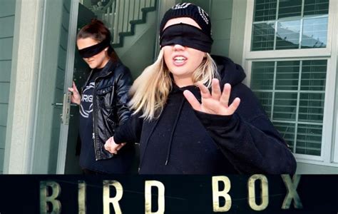 Netflix pide a la gente dejar de hacer el Bird Box Challenge Panamá