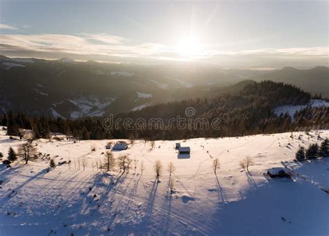 Aerial View of Winter Forest Covered in Snow. Drone Photography ...