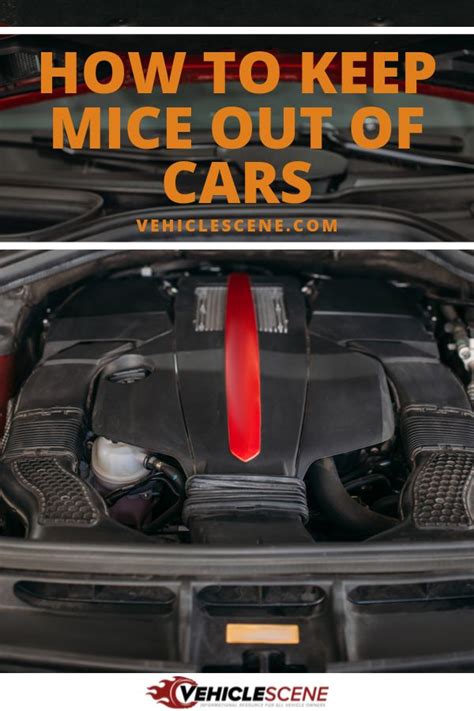 How To Keep Mice From Getting In Your Car