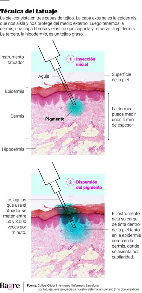 El Dolor Pasa Pero El Tatuaje Se Queda Bagre Revista Digital En Ecuador