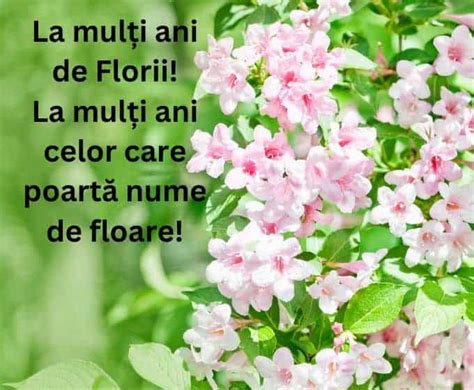 Cele Mai Frumoase Urari De Florii Mesaje Pentru Cei Care Au Nume De