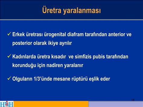 PPT Mesane ve Üretra Yaralanmaları PowerPoint Presentation free