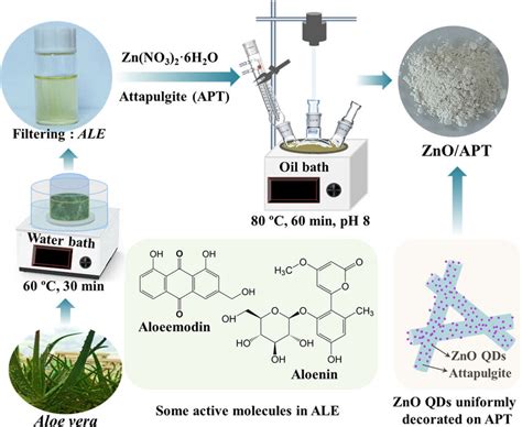 Schematic Illustration Of The Preparation Process For Zno Apt