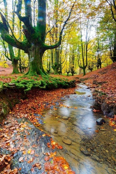 Pin De Dagmar Leistner En Autumn En 2024 Paisajes Paisajes