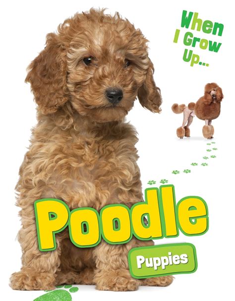 Poodle Puppies eBook by Emmie Chang - EPUB Book | Rakuten Kobo United ...