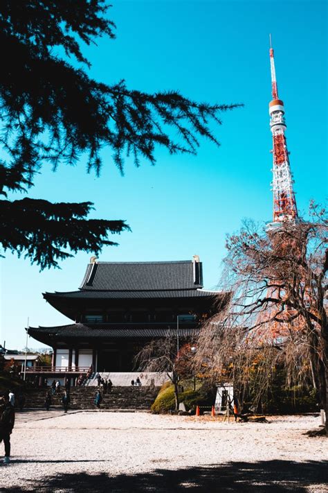 Top 10 Facts About The Tokyo Tower Discover Walks Blog