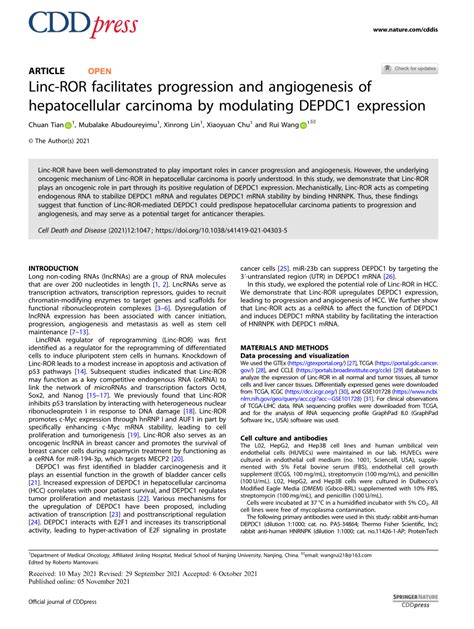 PDF Linc ROR Facilitates Progression And Angiogenesis Of