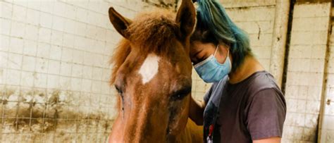 How Southeast Asias Sex Toy Companies Are Reimagining Sex Ed