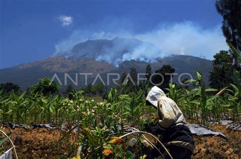 Kebakaran Hutan Gunung Sumbing Antara Foto