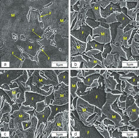 Sem Micrographs Showing The Progress Of Austenite To Ferrite Phase