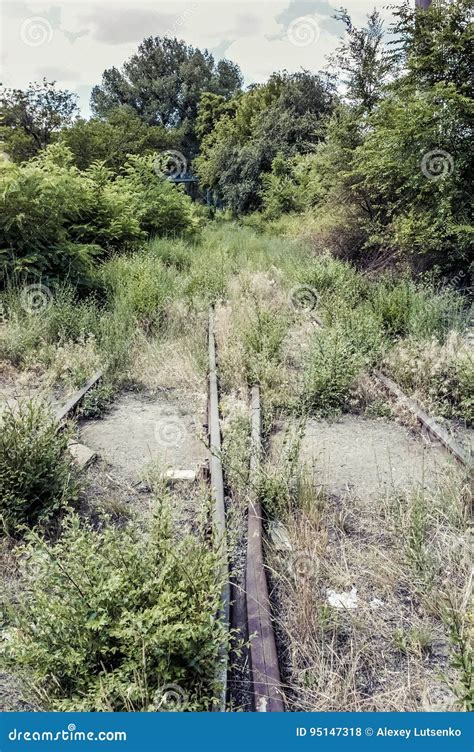 Old Overgrown Abandoned Railway Stock Photo Image Of Railroad