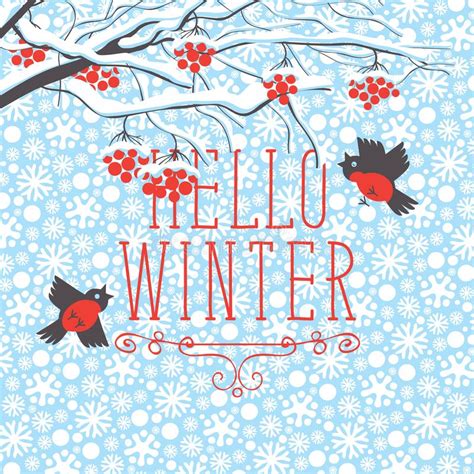 Rowan Snow Winter Red Birds Stock Illustrations 275 Rowan Snow Winter