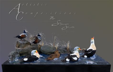 Sea Duck And Waterfowl Taxidermy Sea Duck And Goose Mounts Habitat Scenes With Waterfowl