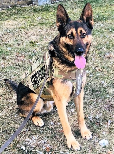 Massachusetts State Police K9 Flash Receives Body Armor Donation New