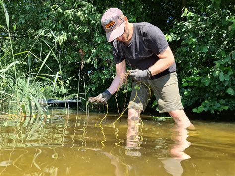 Agir Pour Prot Ger Les Milieux Aquatiques Exploratory Ecology