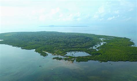 Beka Ecotourism Konservasi Kakatua Kecil Jambul Kuning Di Pulau