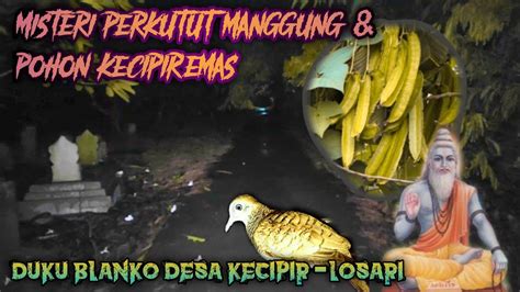 Misteri Perkutut Manggung Pohon Kecipir Emas Dk Blangko Desa