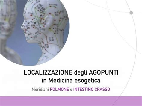 Localizzazione Degli Agopunti In Medicina Esogetica Polmone E