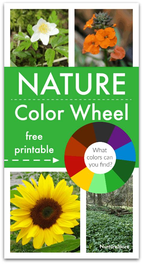 Color wheel for kids - vindax