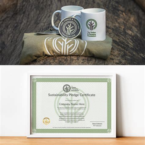 Get Involved - The Timber & Forestry Foundation