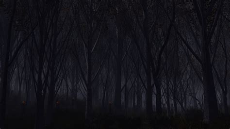 Forest Dark, HD Nature, 4k Wallpapers, Images, Backgrounds, Photos and ...