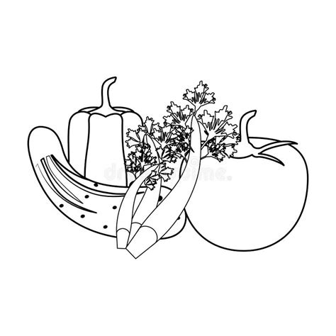 Bande Dessin E De L Gumes Frais En Noir Et Blanc Illustration De