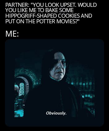 Always : r/HarryPotterMemes