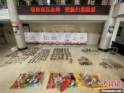 浙江警方破获一起重大非法猎捕、收购、贩卖野生动物案国内天下新闻中心台海网