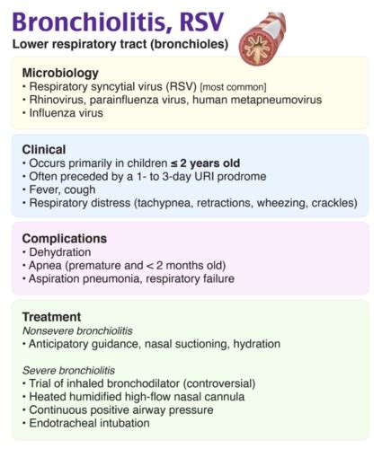 Pulmonology Flashcards Quizlet