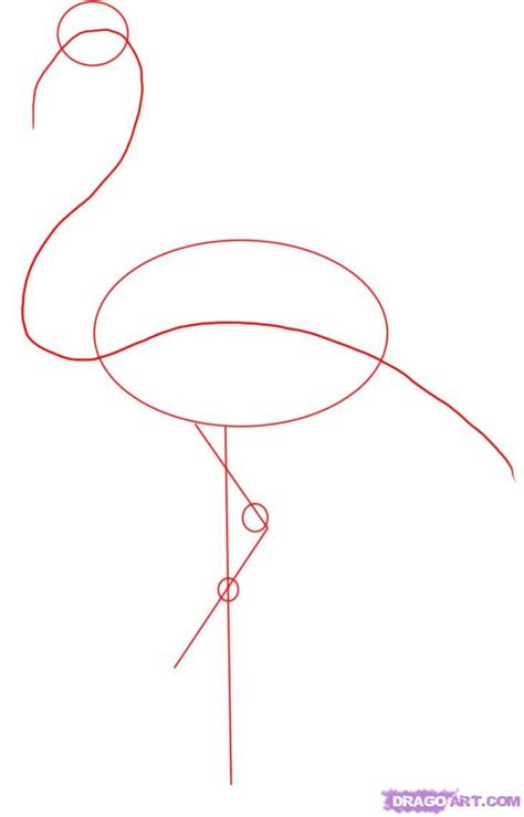 How To Draw A Flamingo, Step by Step, Drawing Guide, by Dawn