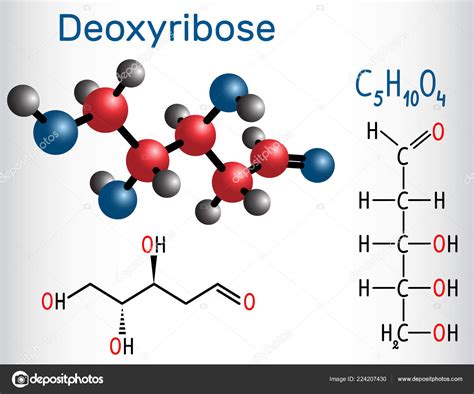 Linear Form Acyclic Deoxyribose Molecule Monosaccharide Deoxy Sugar Which Has — Stock Vector