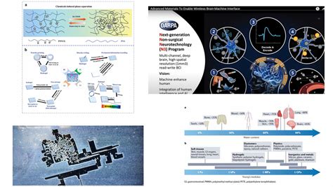 Hydrogel Platform Enables Versatile Data Encryption And Decryption