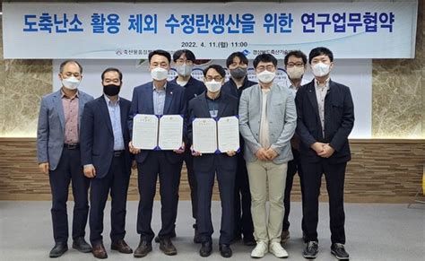 경북축산기술연구소 한우농가에 우수 수정란 무상공급