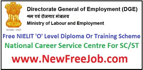 Haryana NIELIT O Level Free Course Offline Form 2023 NewFreeJob