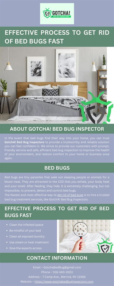 Ppt Effective Process To Get Rid Of Bed Bugs Fast Powerpoint Presentation Id12188673