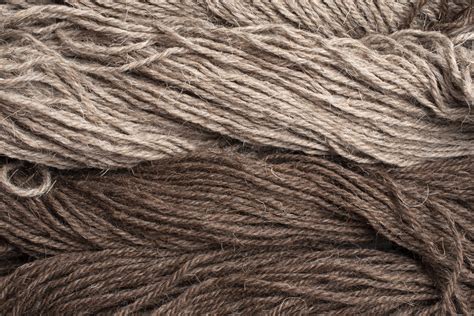 Guida al Modal: tutto quello che devi sapere - OneWorld Italy