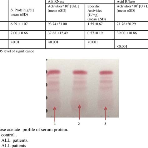 Activities And Specific Activities Of Serum 5 Nucleotidase Of All