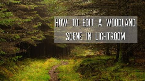 Editing A Woodland Scene In Lightroom Start To Finish Autumn In